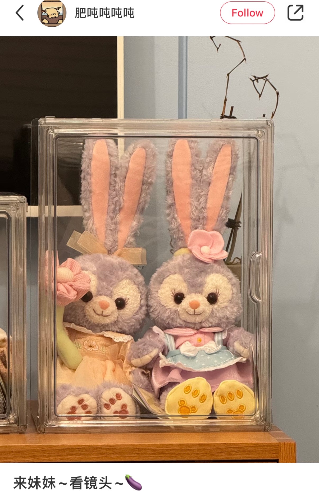 Disney | Shang Hai Disneyland Plush Toy Ss Stellalou (Duffy And Friends Summer Collection)
