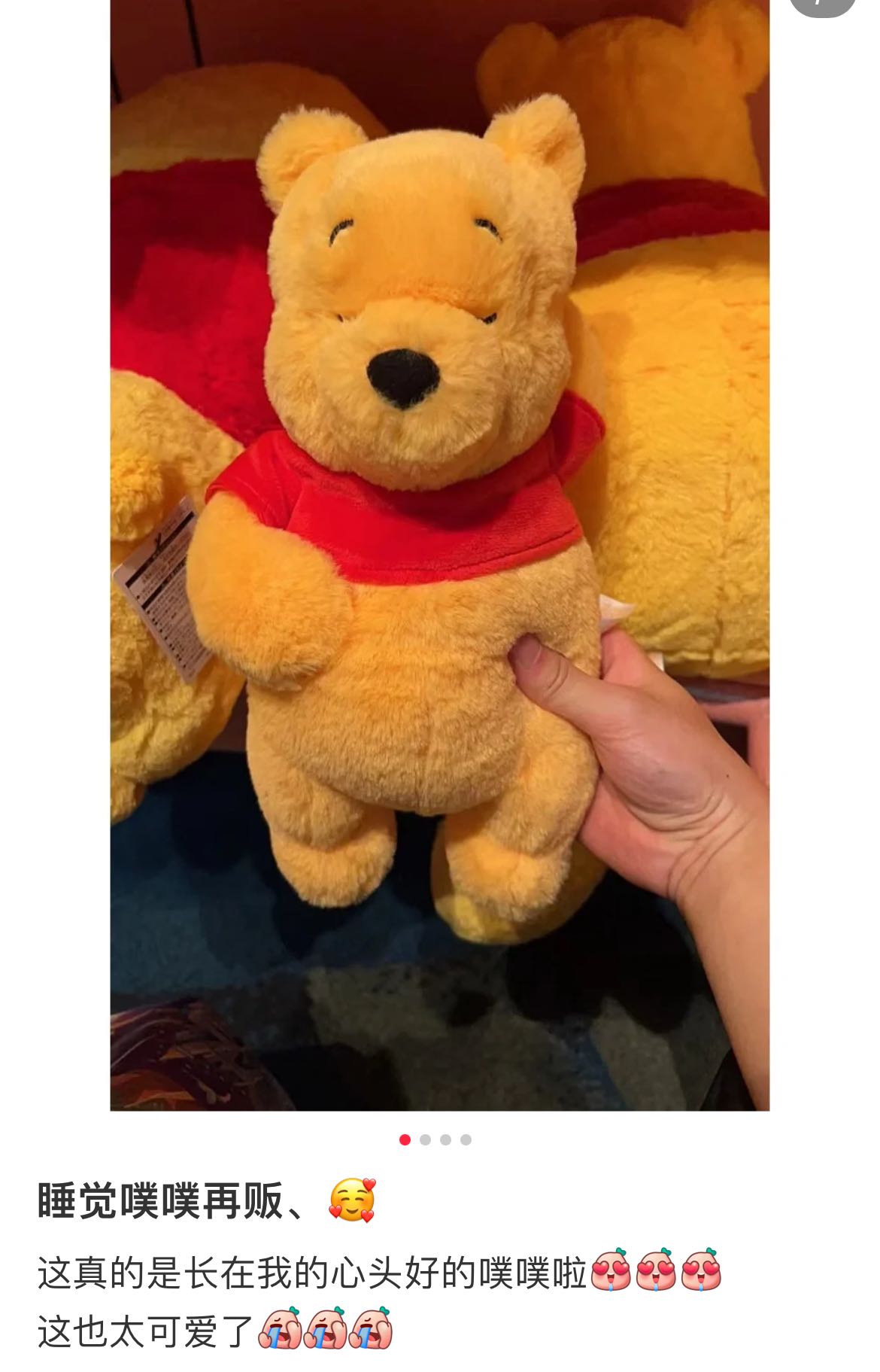 Disneywinnie The Pooh Fluffy Plush