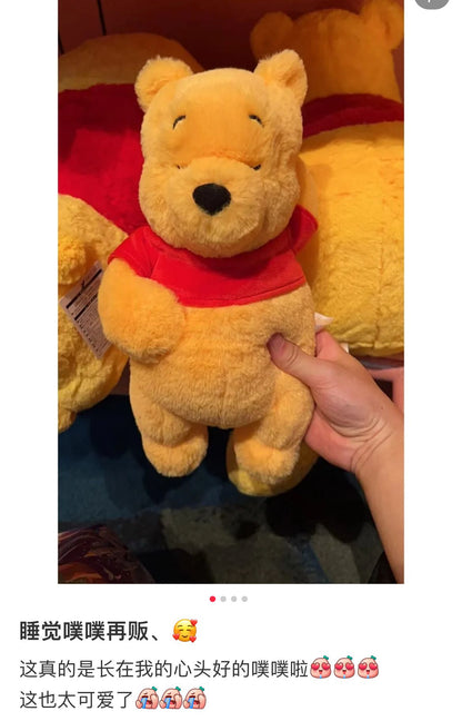 Disneywinnie The Pooh Fluffy Plush