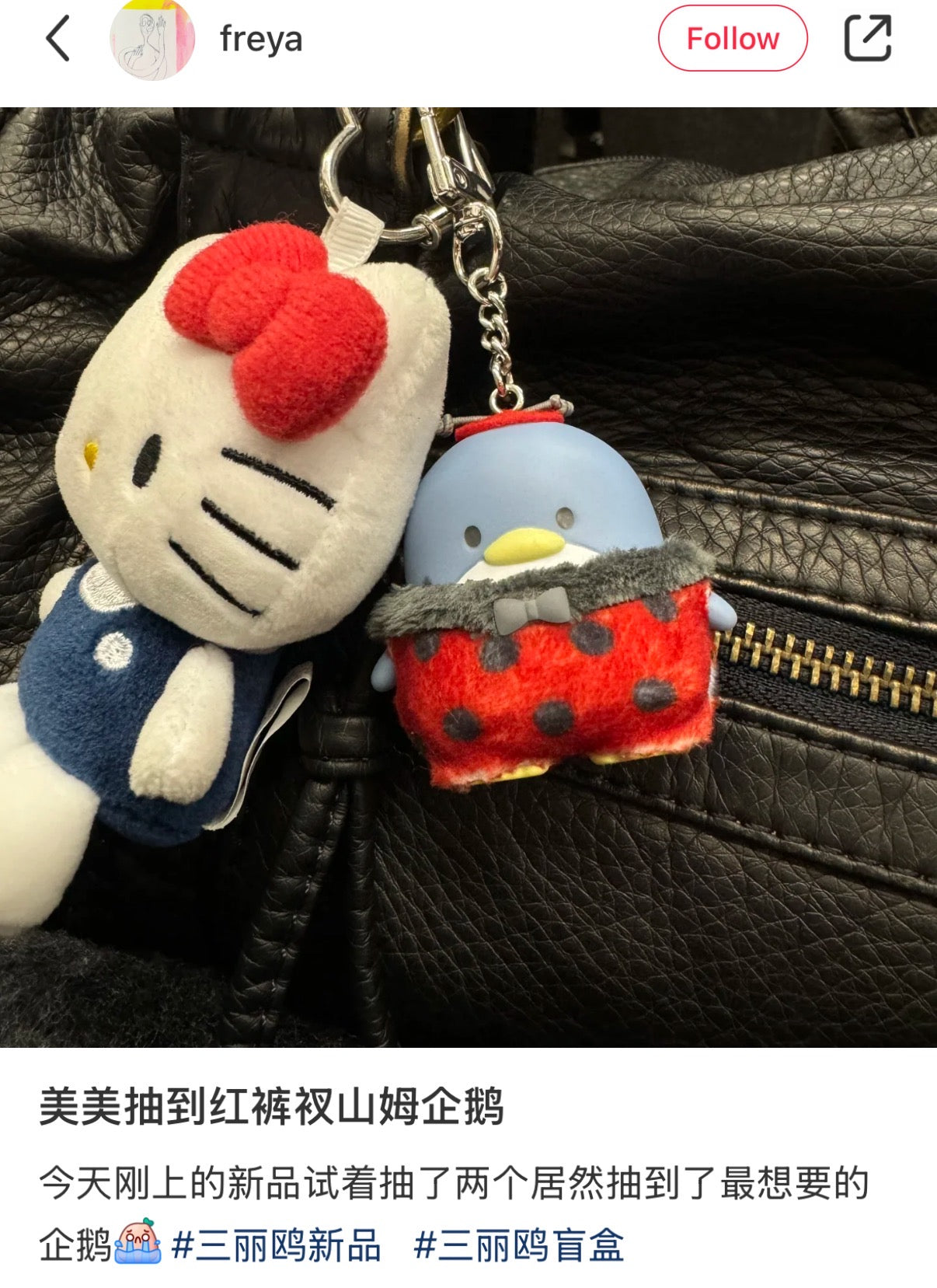 Sanrio | Secret Keychain Blind Box (Blue)