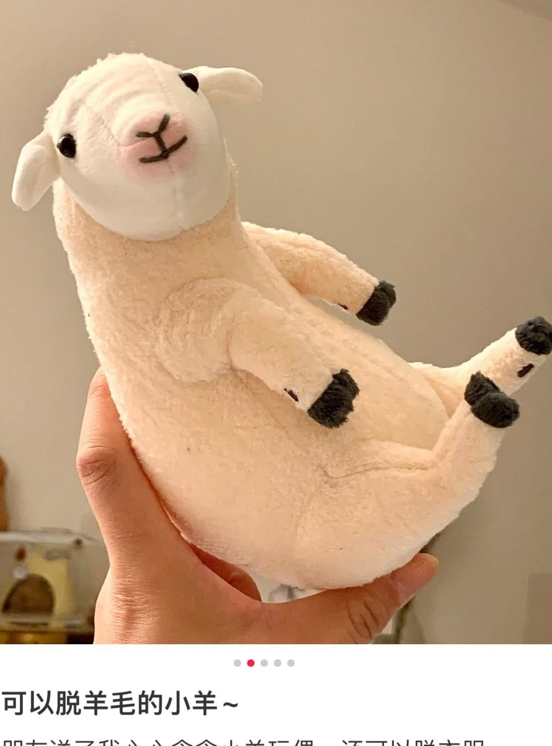 Felissimo 16.5*9*12Cm