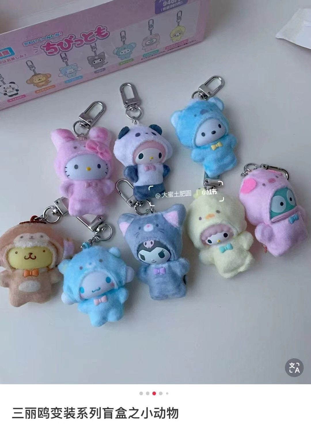 Sanrio | Secret Keychain Blind Box (Pink)