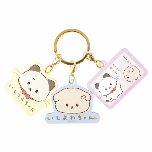 keyring set