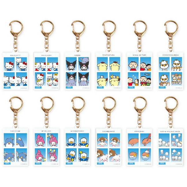 SANRIO | Secret Characters Trading Photo Style Acrylic Keychain Blind Box vol.1 H112 x W40 x D3mm