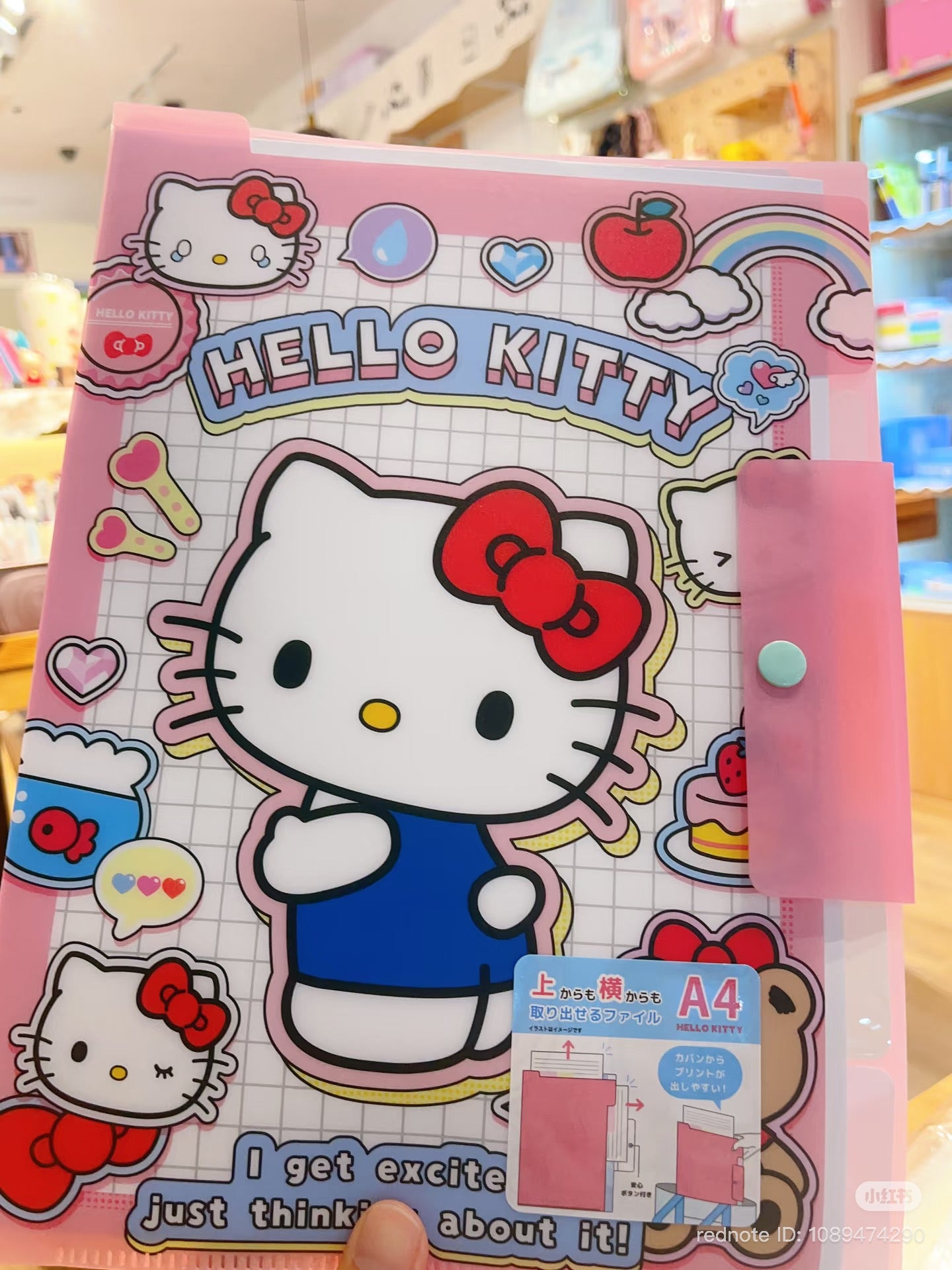 SANRIO | Hello Kitty A4 Pocket File with Top and Side Access 225 x 315 mm