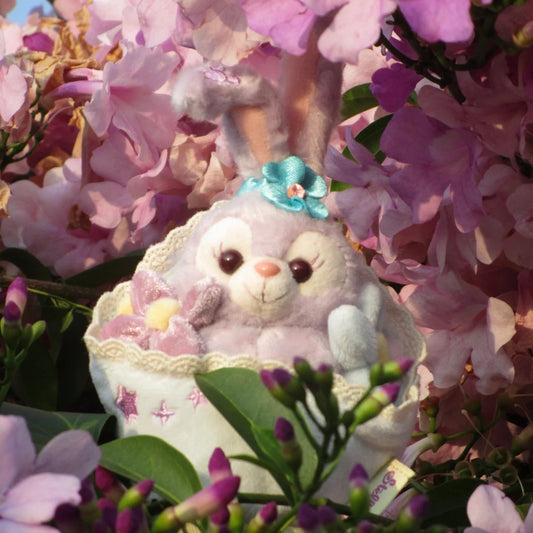 DISNEY | SHANG HAI DisneyLand StellaLou Mascot Holder Bag Charm Keychain (Duffy and Friends Mini Bouquet)