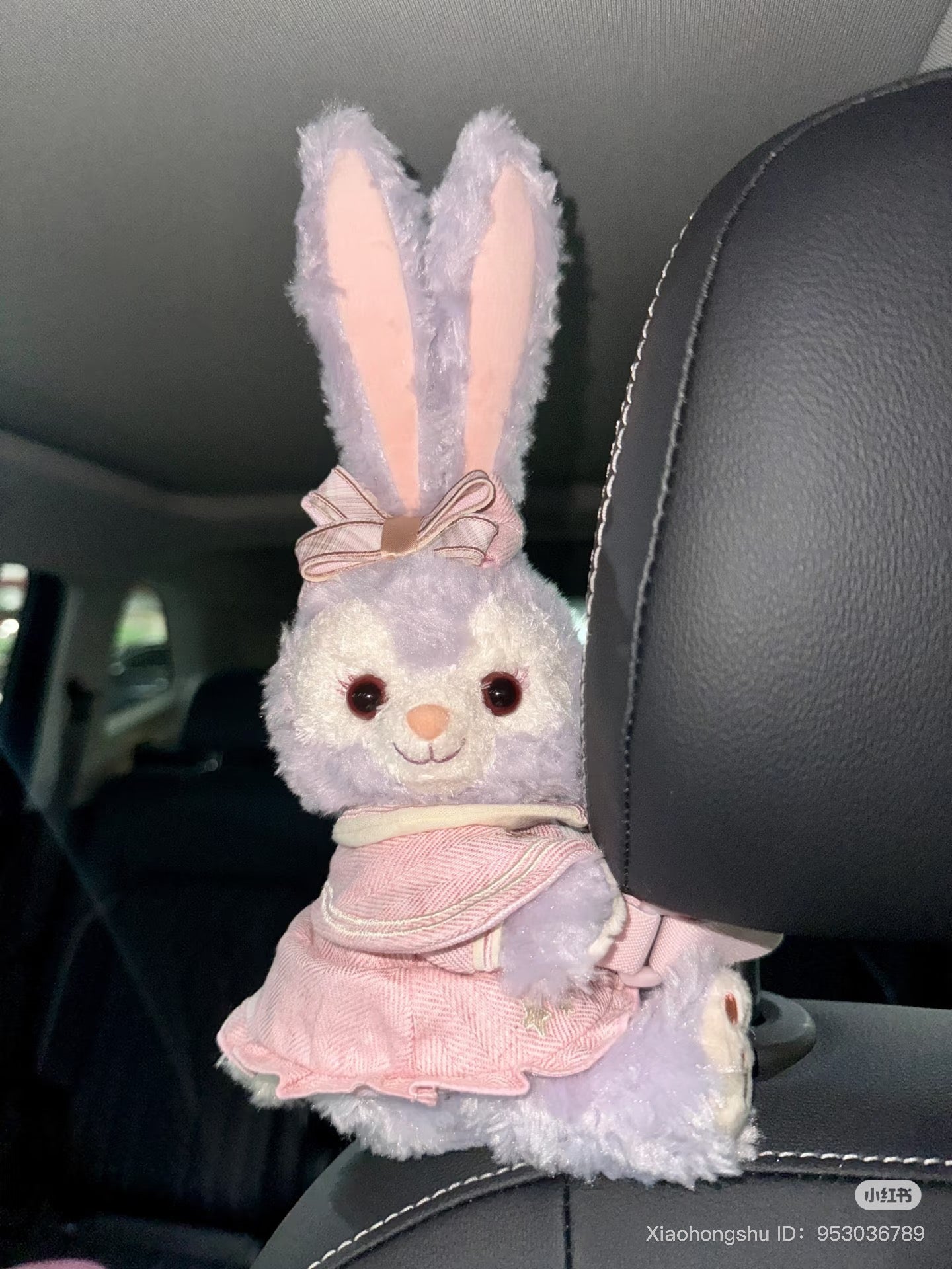 DISNEY | Shang Hai Disney StellaLou Plush Arm/Curtain/Car Seat Holder (Let’s Learn with Duffy and Friends)