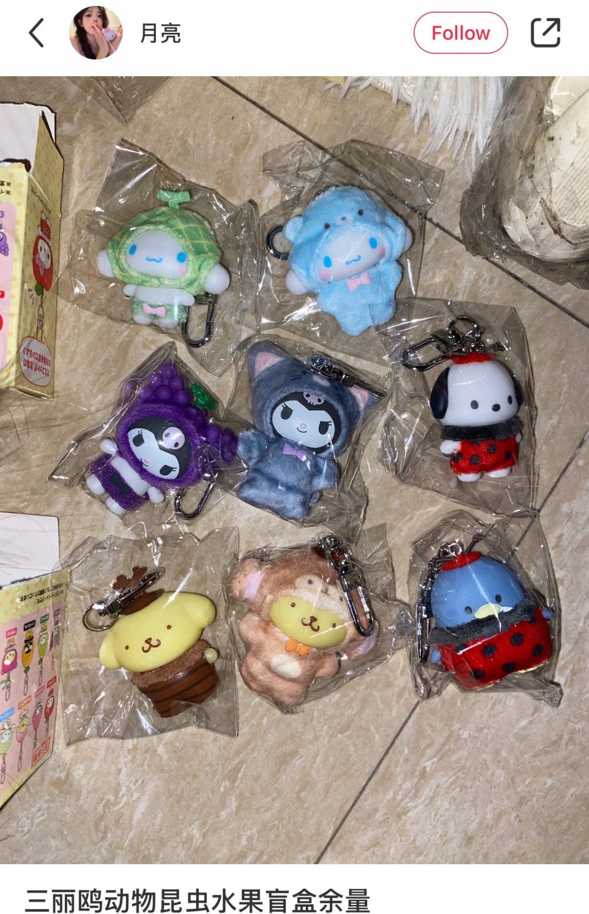 Sanrio | Secret Keychain Blind Box (Pink)