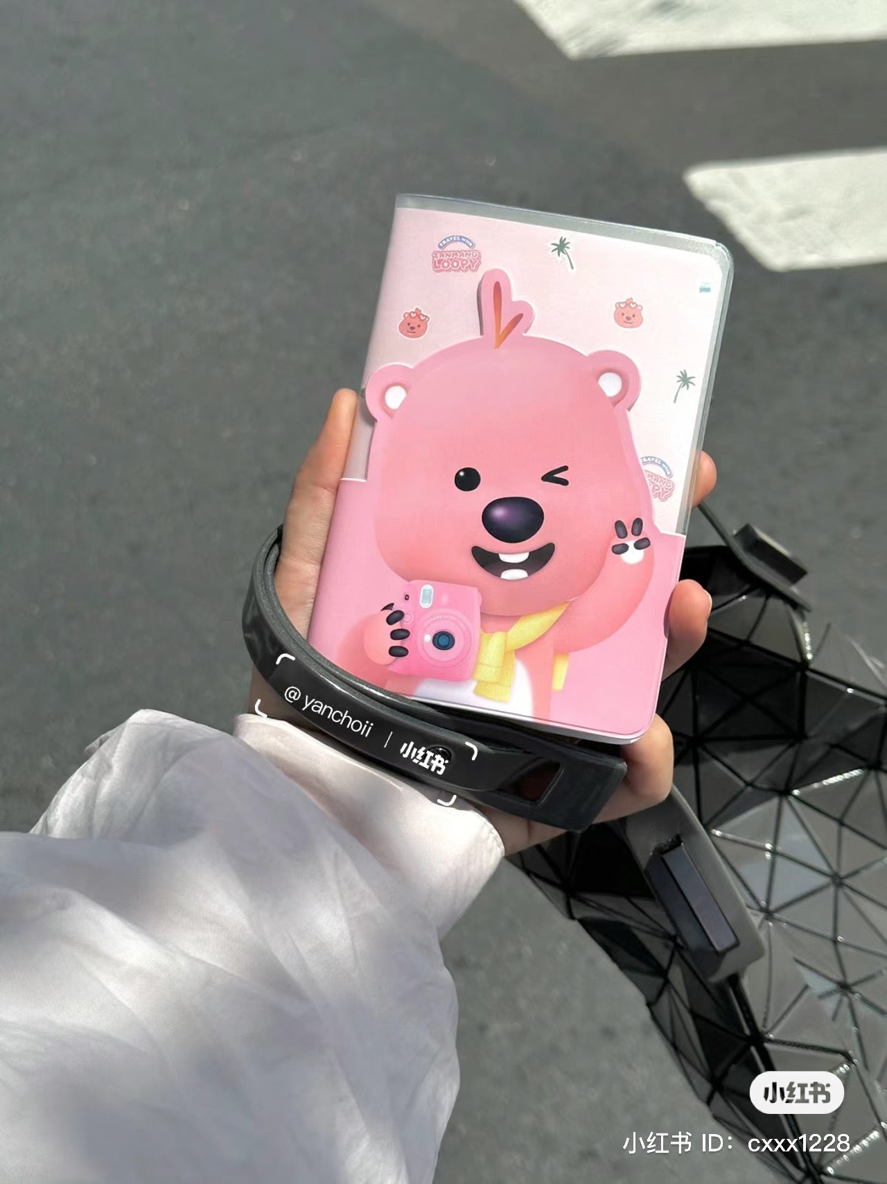 Loopy | Pocket Passport Case 露比 小海狸 护照夹/护照保护套