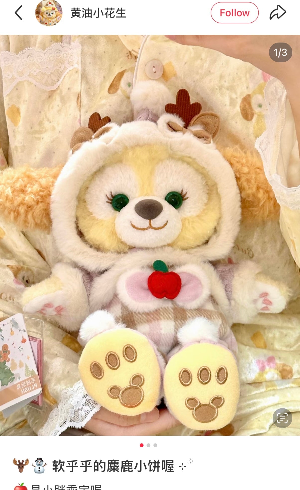 DISNEY | SHANG HAI DisneyLand CookieAnn Plush Toy Doll SS (Duffy and Friends Winter Collection)