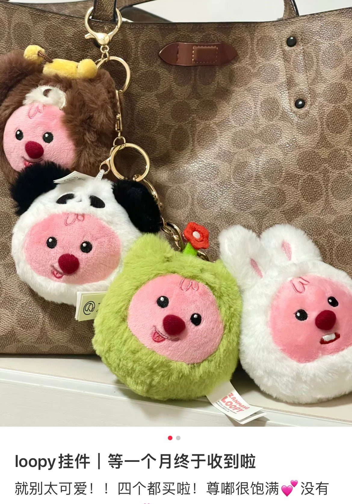 Loopy | Mascot Holder Plush Keyring 9 X 10.5Cm