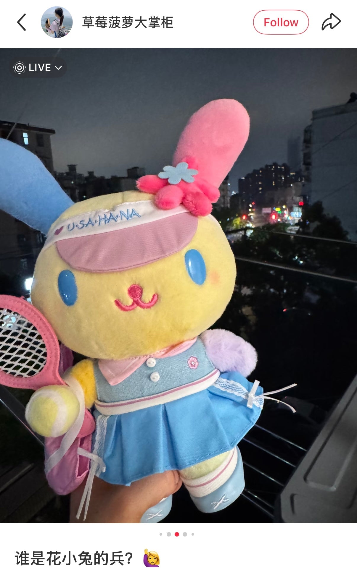 SANRIO CHN | Usahana Plush Toy Plush Doll (Tennis)
