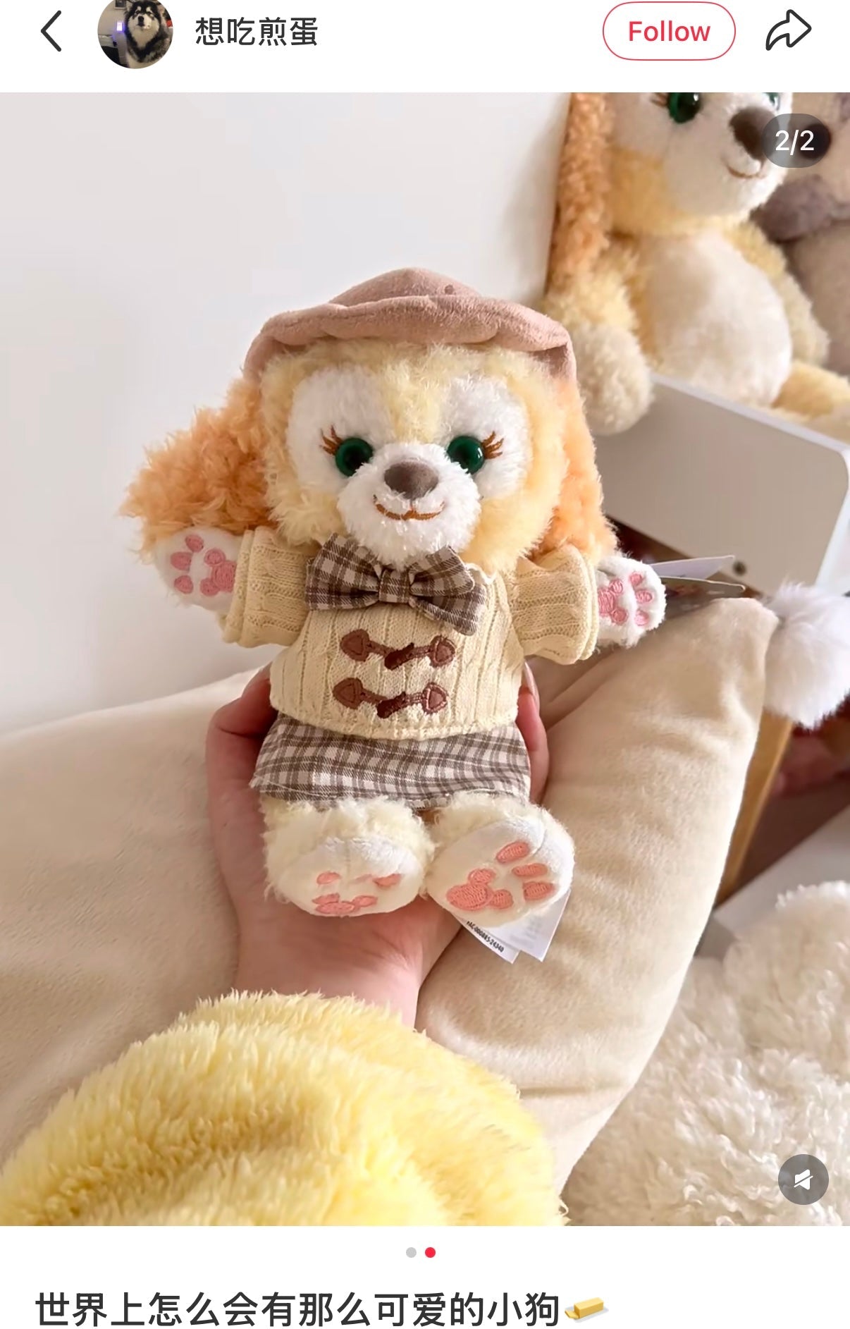 DISNEY | Shang Hai Disney CookieAnn Plush Arm/Curtain/Car Seat Holder (Let’s Learn with Duffy and Friends)