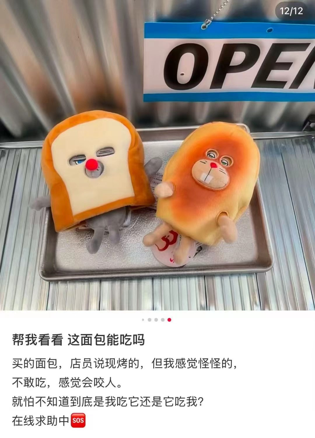 Bread Dorobo | Disguising Plush Toy W11×H16.5×D15Cm