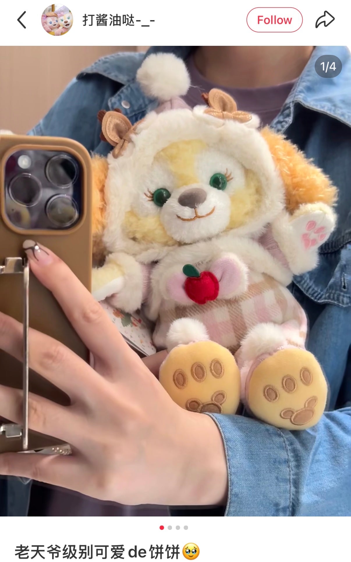 DISNEY | SHANG HAI DisneyLand CookieAnn Plush Toy Doll SS (Duffy and Friends Winter Collection)