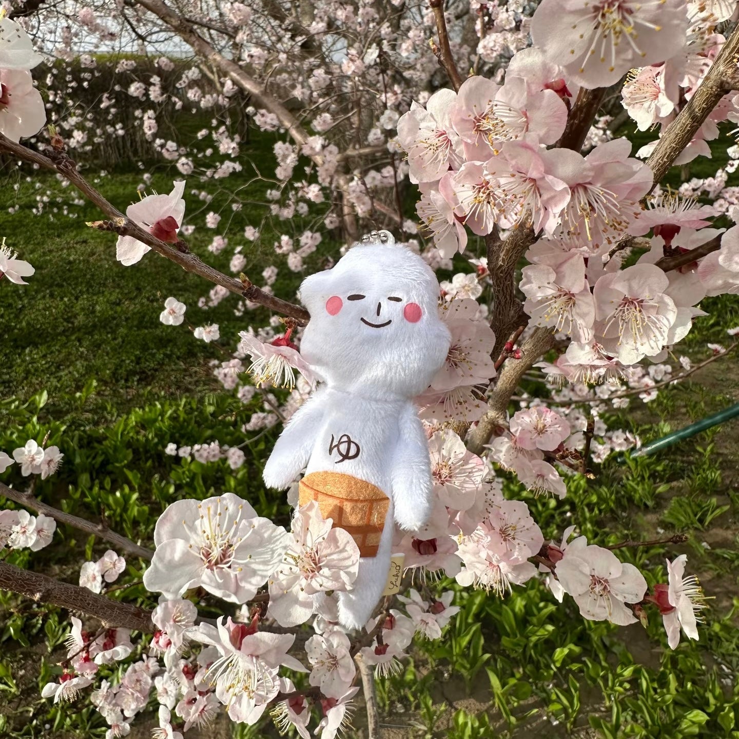 【Any two for 10% off】Yukio | Mascot Holder Plush Keychain W45×H105mm (Spa)