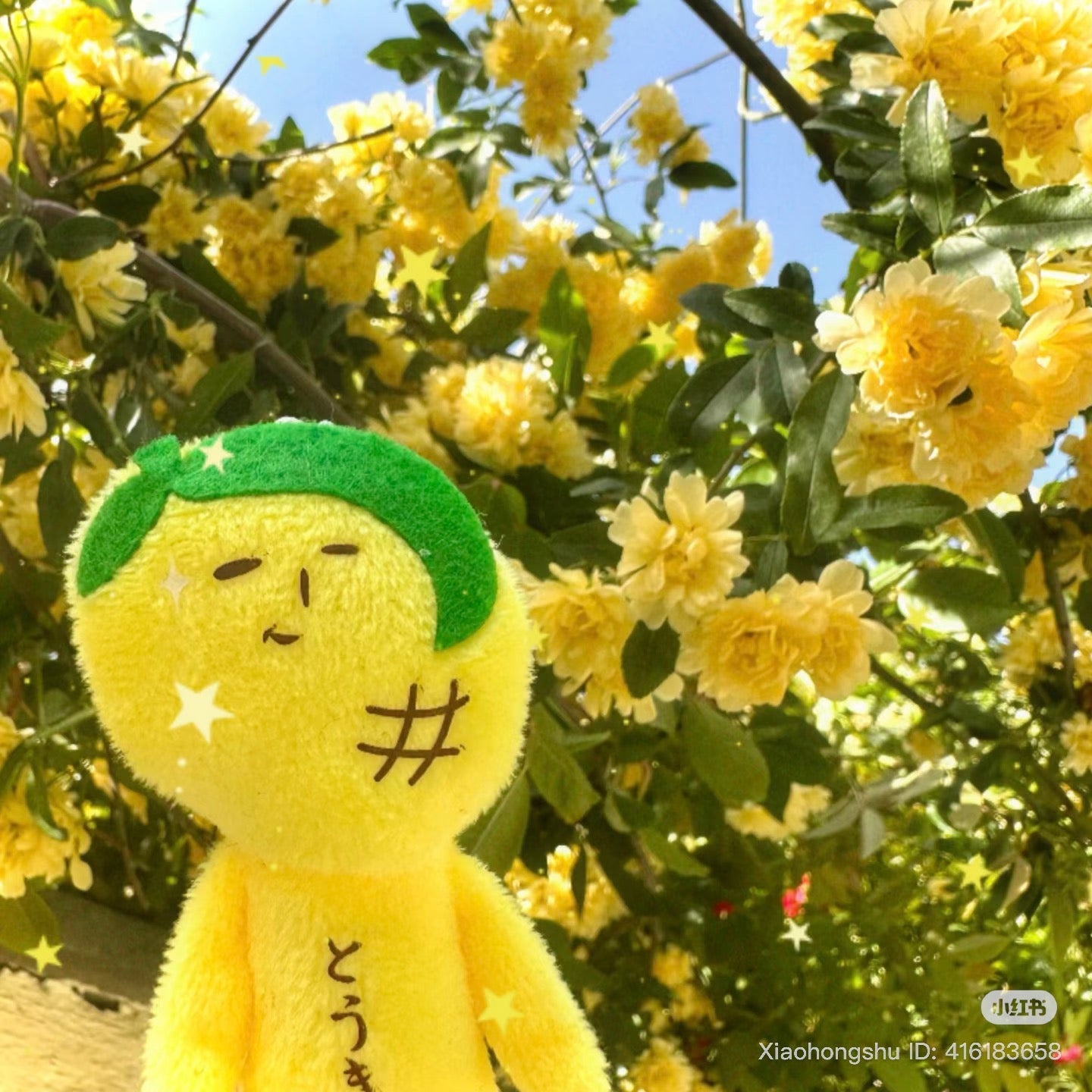 【Any two for 10% off】Yukio | Mascot Holder Plush Keychain W45×H105mm (Corn)