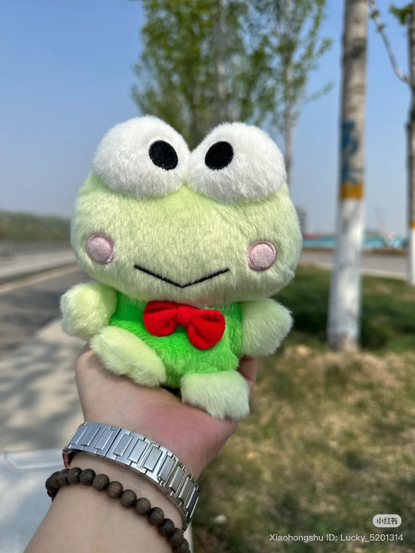 SANRIO | Keroppi Fuwakuta Style Plush Doll 14.5 x 12 x 9cm