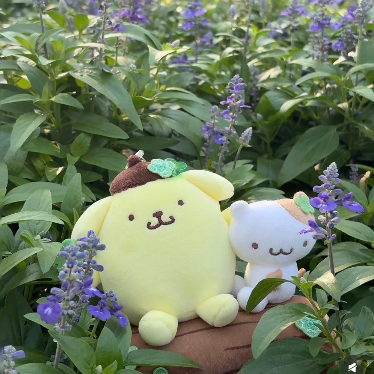 SANRIO | Pom Pom Purin with Muffin Mascot Holder Bag Charm (Pompompurin Four-leaf Clover