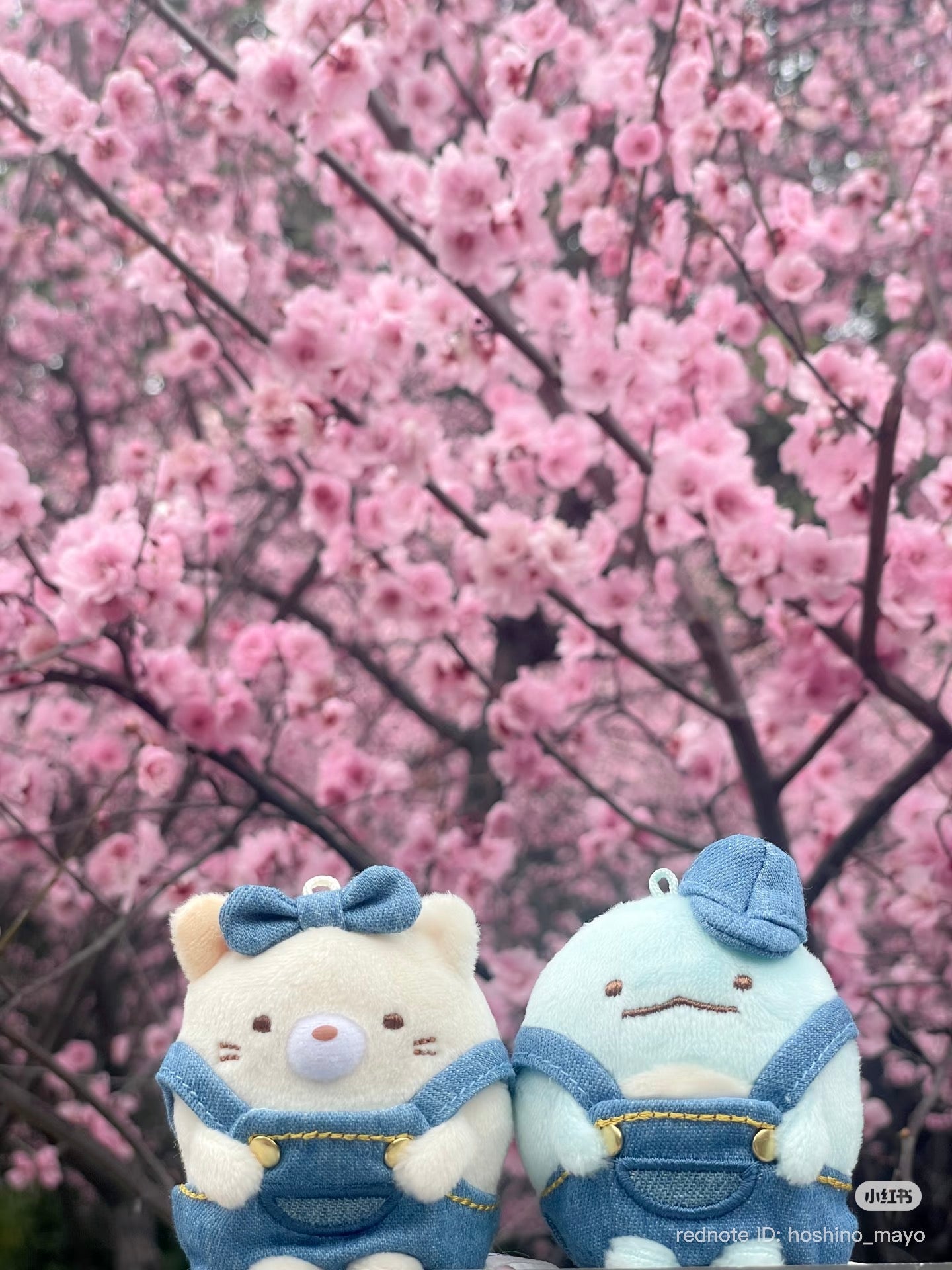 SAN-X | Sumikko Gurashi Neko Mascot Holder Plush Keychain Bag Charm Denim (Kurashiki Limited)