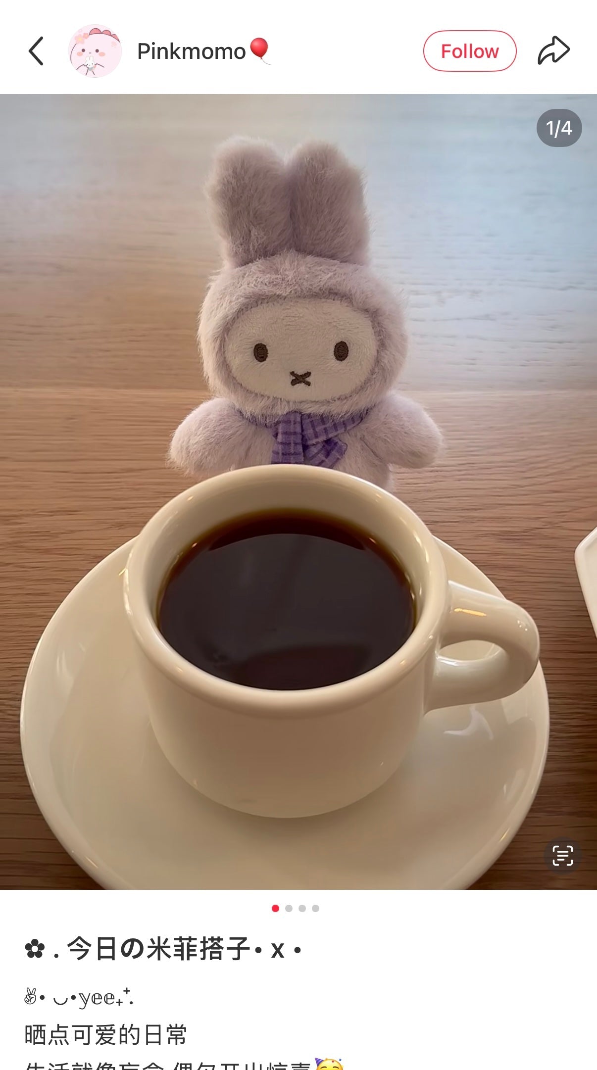 VIPO x Miffy | Plush Keychain Blind Box 13.5cm Approx. Random (Order six to get a complete box)