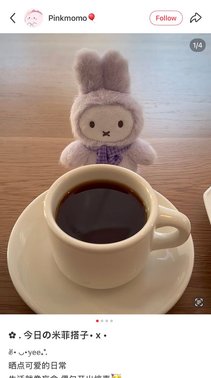 VIPO x Miffy | Plush Keychain Blind Box 13.5cm Approx. Random (Order six to get a complete box)