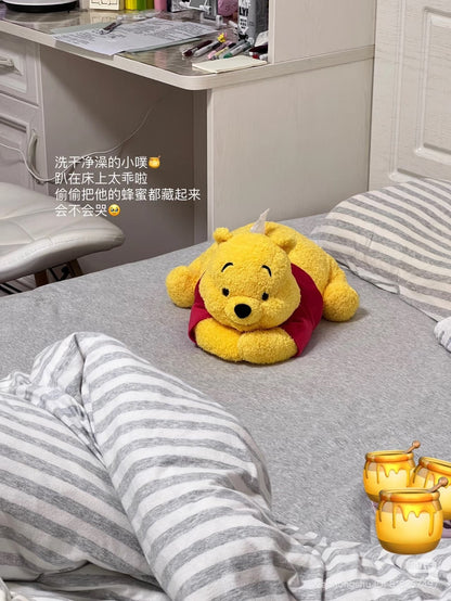 DISNEY | Tokyo Disney Land Winnie the Pooh Plush Tissue Box Cover