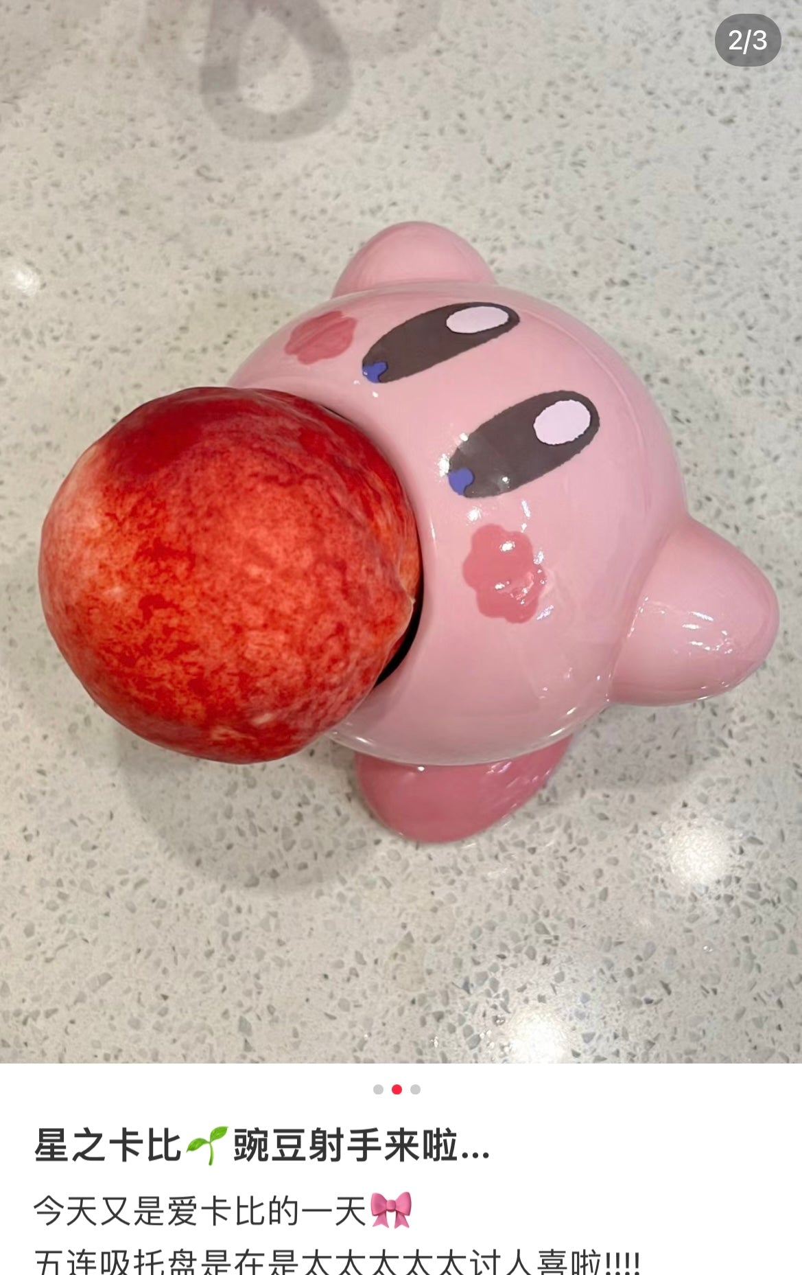 Kirby | Candy Bowl/Salad Bowl Suikomi Kirby Café /////