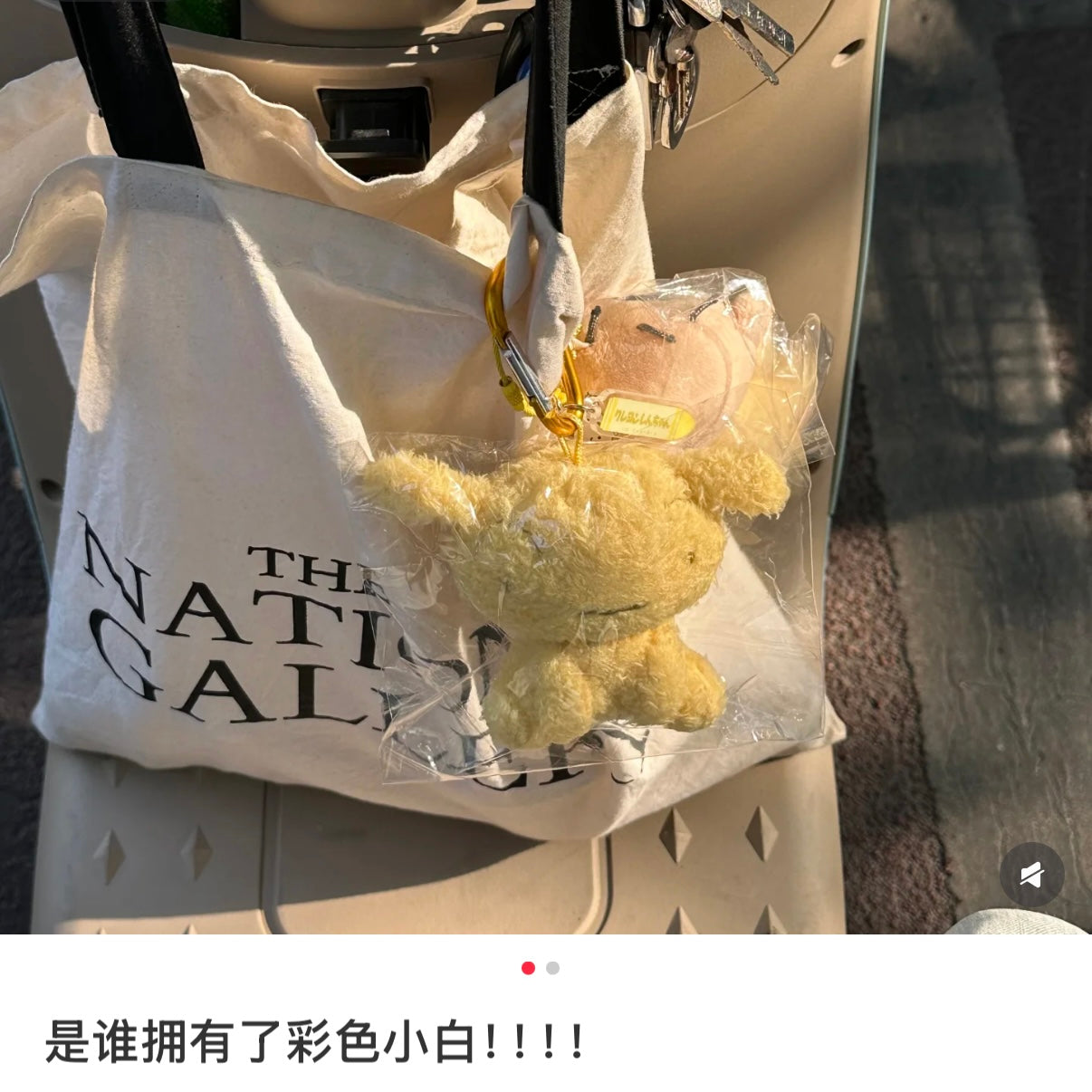 Crayon Shin-chan | Mascot Holder Plush Keychain Bag Charm with Carabiner (Colorful Shiro - Yellow)