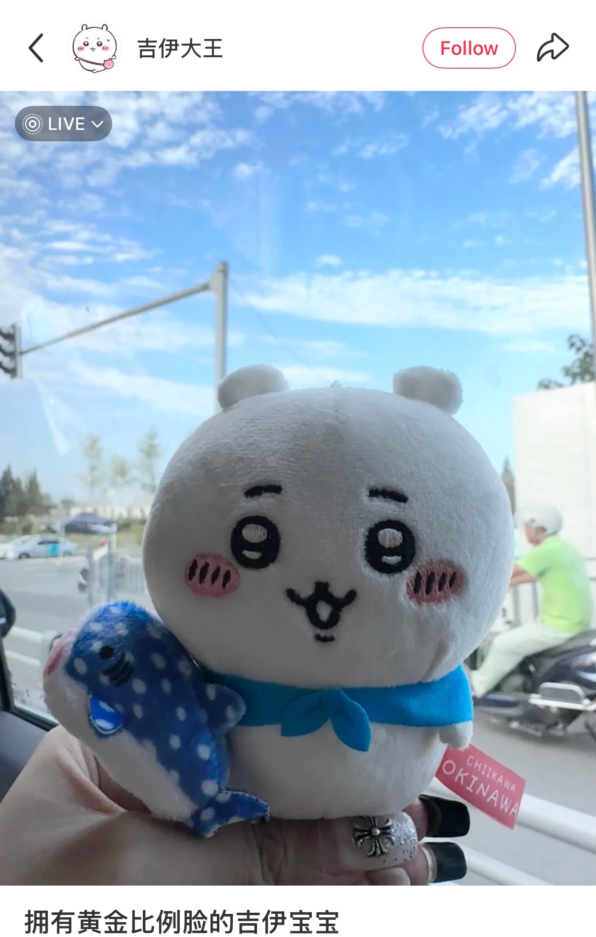 CHIIKAWA | Chiikawa Mascot Holder Plush Keychain Bag Charm 10cm Approx. (Okinawa Limited)