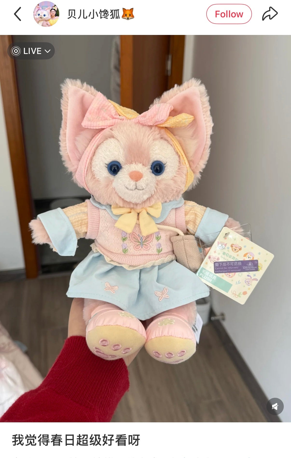 DISNEY | Shang Hai Disney Land LinaBell Plush Toy Plush Doll SS (Duffy and Friends Spring)