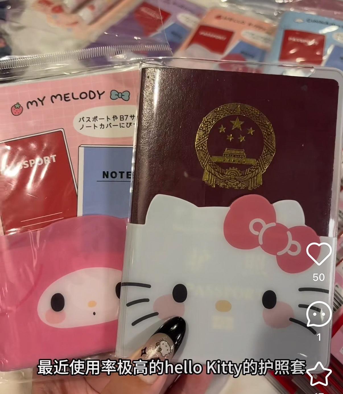 SANRIO | My Melody B7 Stationery Multi-Case Passport Case Cover with Pocket 136 x 95 x 10cm