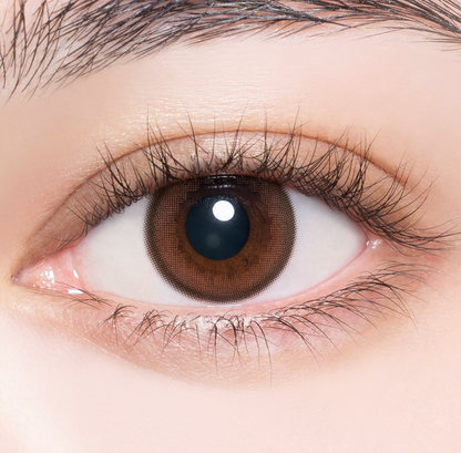 Enviecolor Contacts 1 Day 30 Pieces Chameau Brown Dia14.0Mm Bc8.6Mm