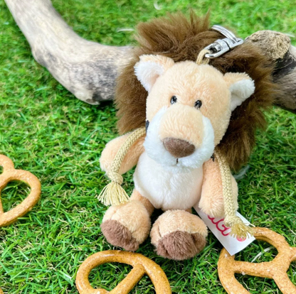 nici lion
