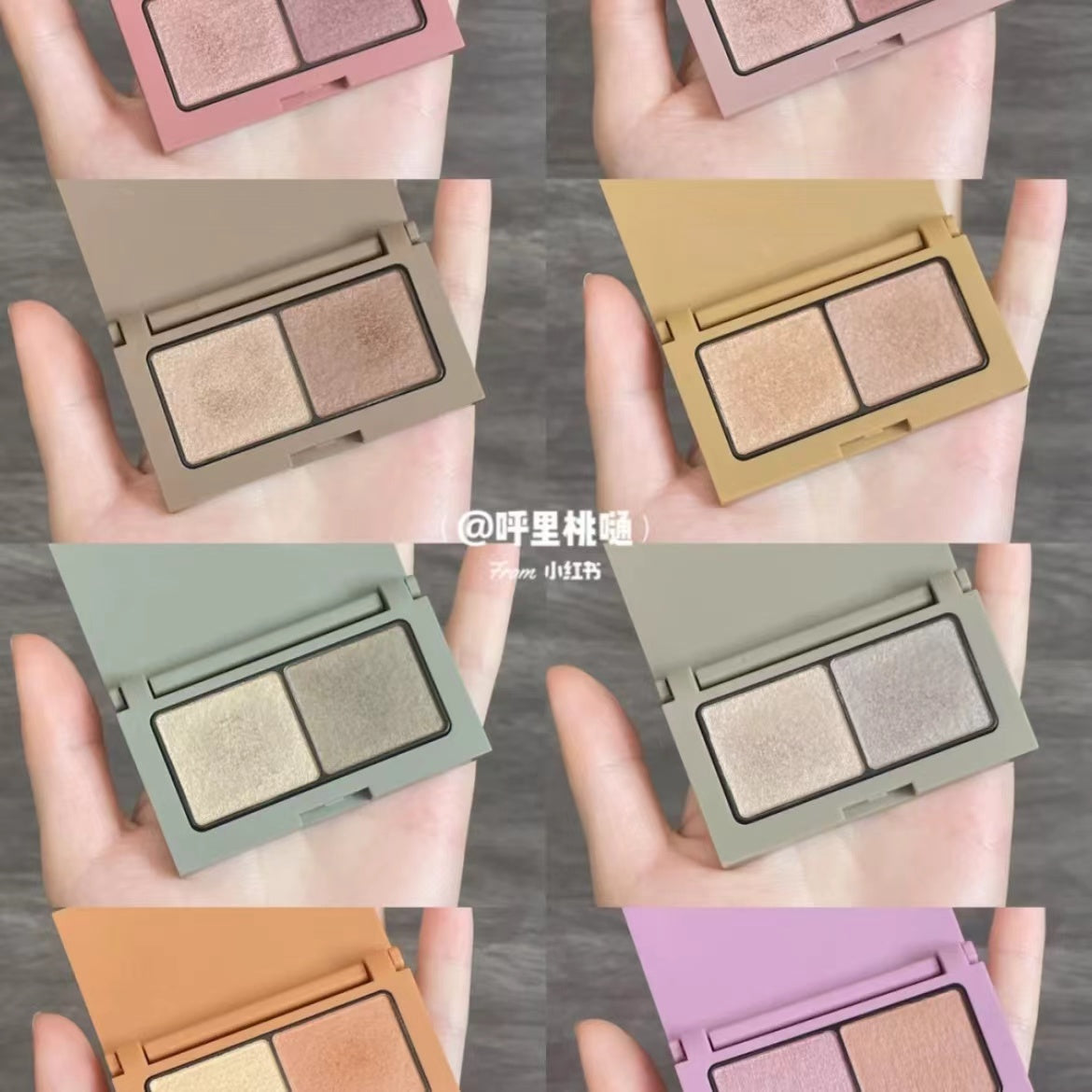 Ettusaiseye Edition Color Palette