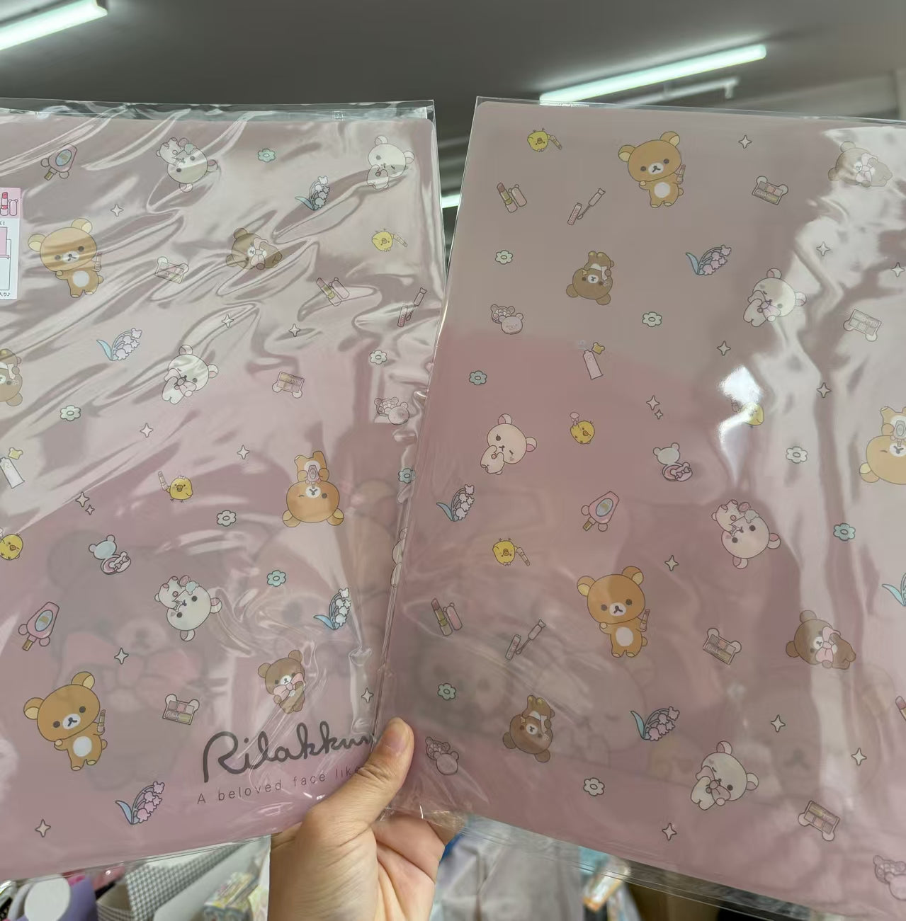 SAN-X | Rilakkuma Hardcover Double Clear Folder 310×235mm(A4) (Rilakkuma Makeup)