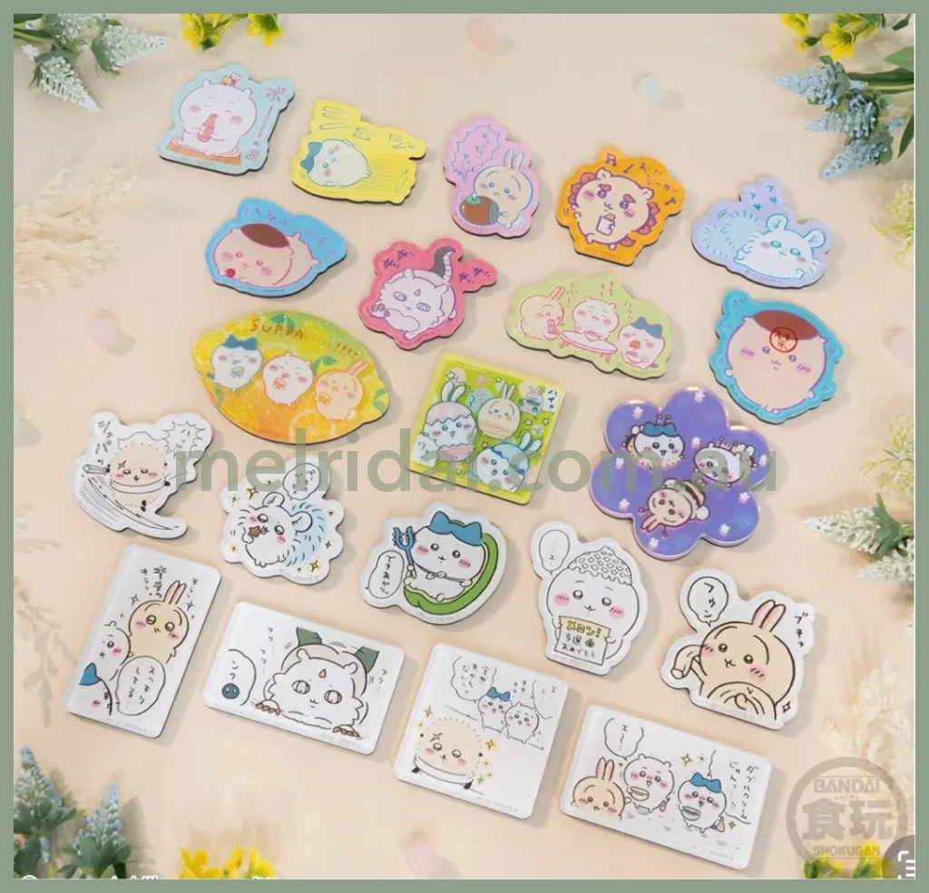 CHIIKAWA | Acrylic Magnets Blind Bag 4 40～50mm (Random)