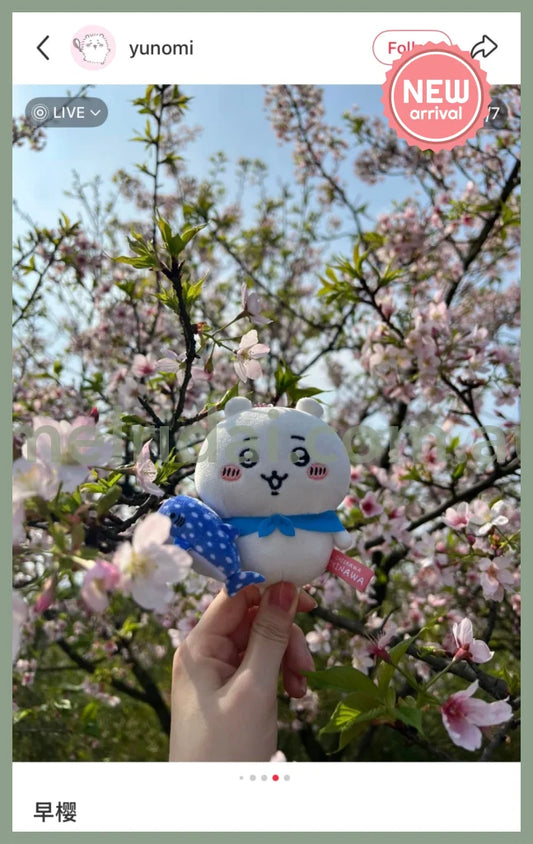 CHIIKAWA | Chiikawa Mascot Holder Plush Keychain Bag Charm 10cm Approx. (Okinawa Limited)