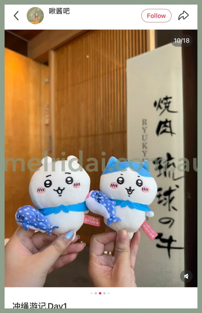 CHIIKAWA | Chiikawa Mascot Holder Plush Keychain Bag Charm 10cm Approx. (Okinawa Limited)