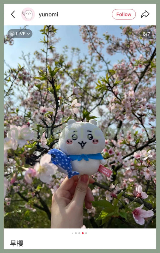 CHIIKAWA | Chiikawa Mascot Holder Plush Keychain Bag Charm 10cm Approx. (Okinawa Limited)