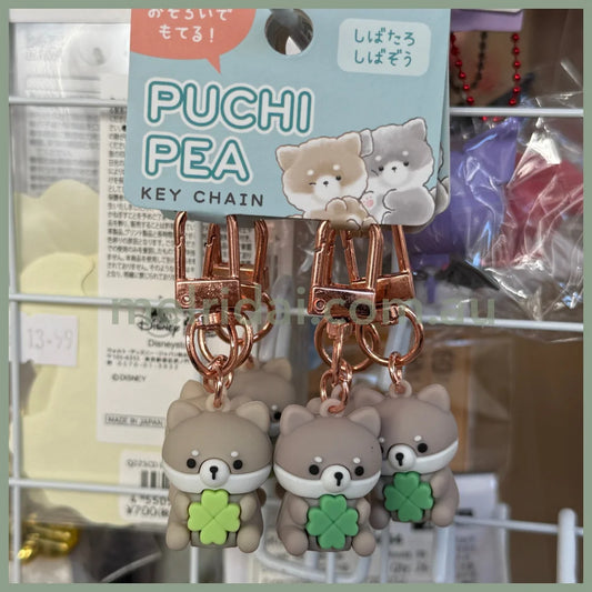 CRUX | Petit Pair Keychain H60×W20×D20mm (Raccoon)