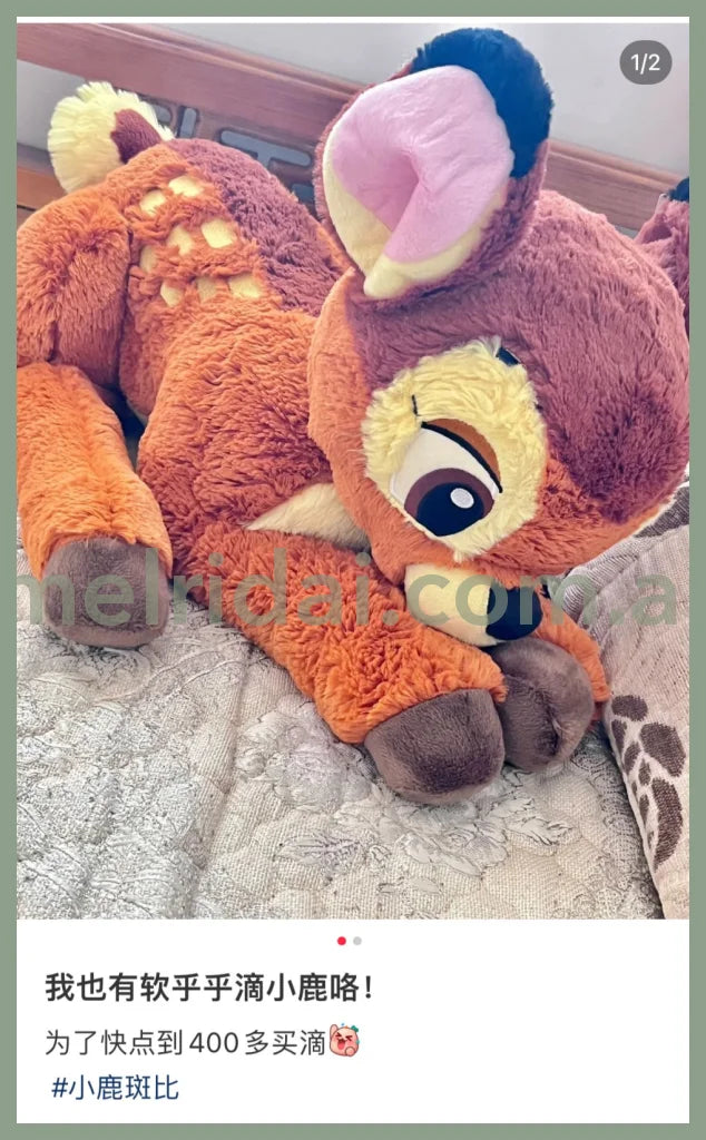 Disney | Fluffy