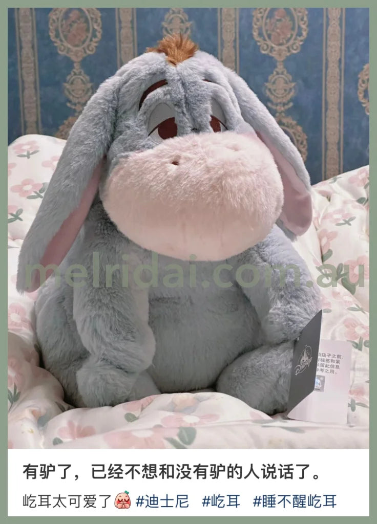 Disney | Sleepy Eeyore Plush Doll Winnie The Pooh 34X22X26Cm 东京迪士尼 睡不醒屹耳/驴驴 毛绒玩偶/公仔