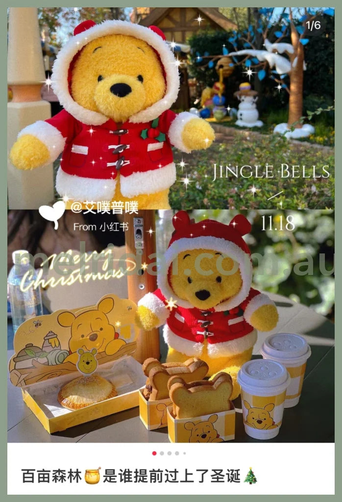 Disney | Tokyo Disneyland Winnie The Pooh Plush Doll 2023 /