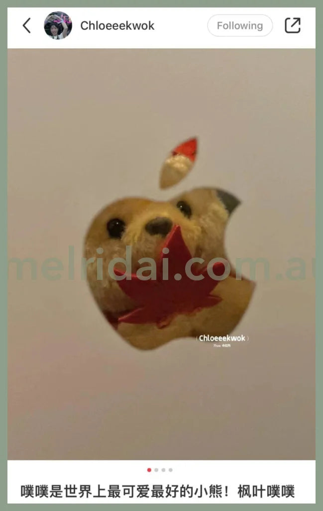 Disney | Winnie The Pooh Mascot Holder Plush Keychain (Maple)