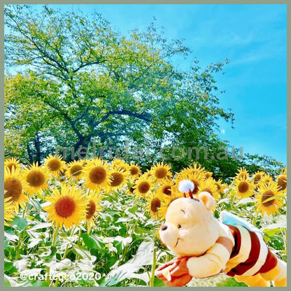 Disney | Winnie The Pooh Plush Pen Case Pencil Pouch Honey Day H15×W13×D29Cm