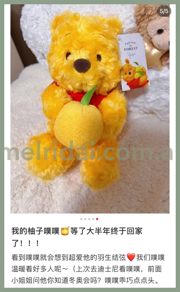 Disneywinnie The Pooh