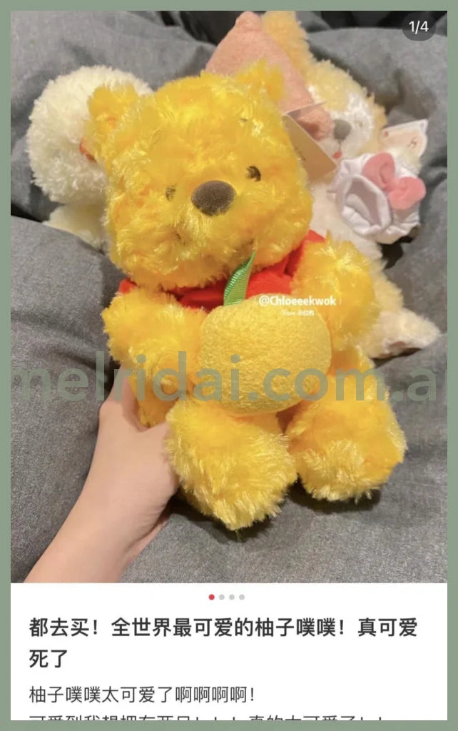 Disneywinnie The Pooh