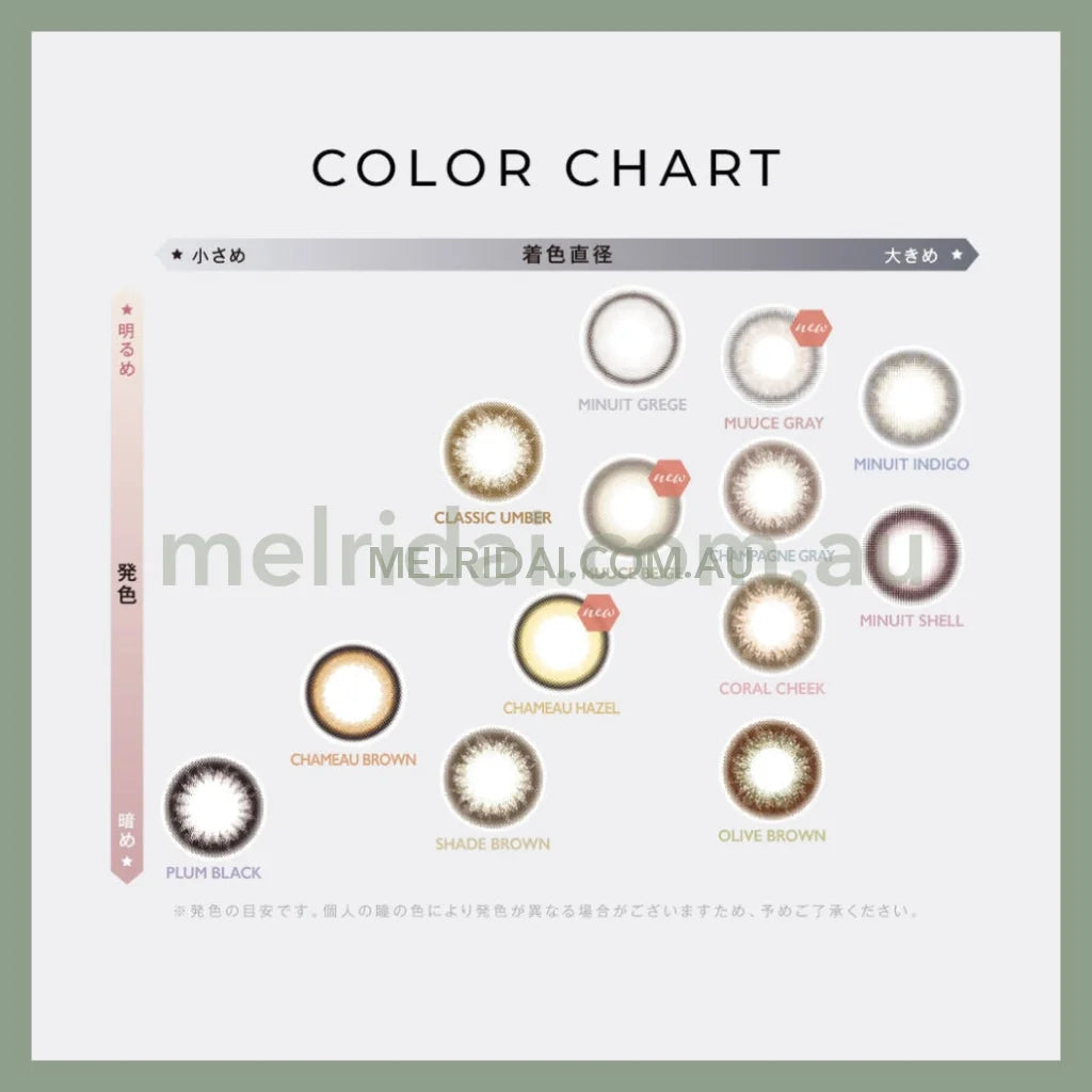 Enviecolor Contacts 1 Day 10 Pieces Classic Umber Dia14.0Mm Bc8.6Mm