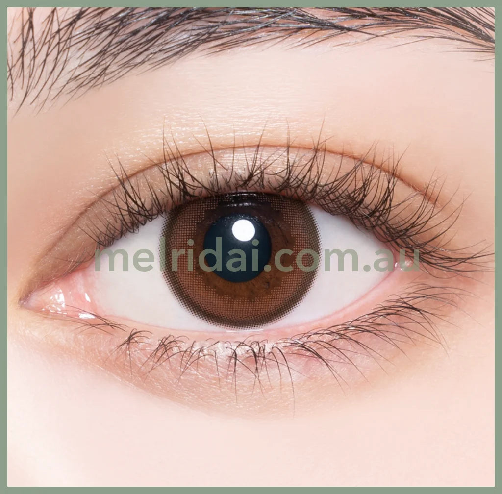 Enviecolor Contacts 1 Day 30 Pieces Chameau Brown Dia14.0Mm Bc8.6Mm